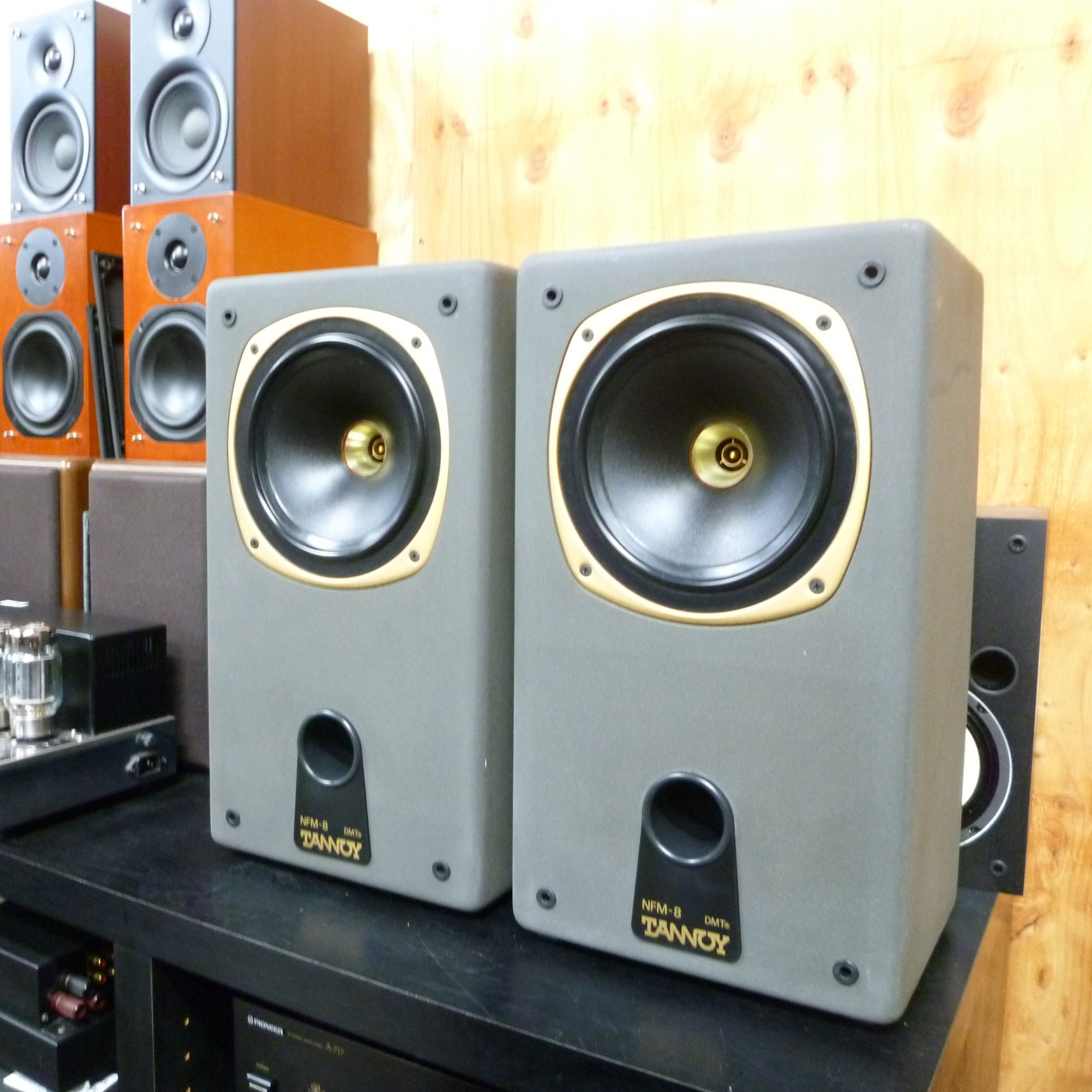 TANNOY / NFM-8